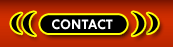 Transsexuals Phone Sex Contact Columbus